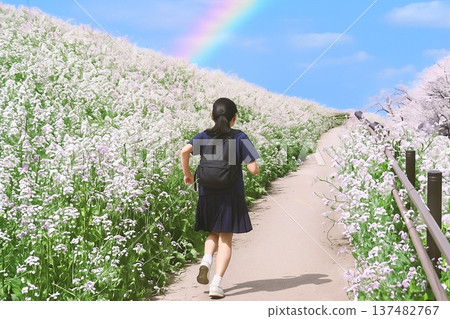 Students running along a rainbow-covered road surrounded by cherry blossoms and beach radishes 137482767