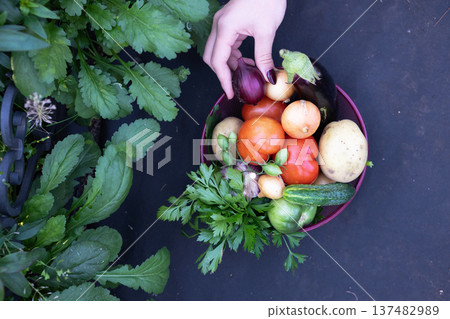 male farmer holding a basket with vegetables on the background of nature. male farmer holding a basket with vegetables on the background of nature. 137482989