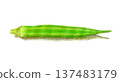 Hand-drawn illustration of okra drawn with colored pencils 137483179