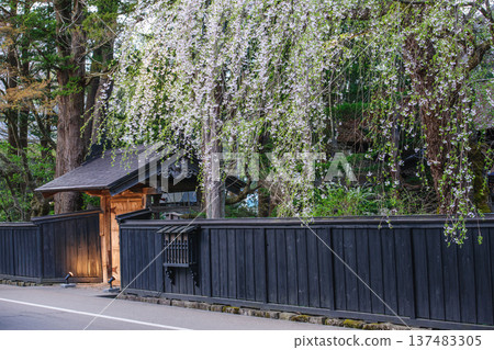 夜幕下的角館:燈火輝煌的武士宅邸,秋田縣 夜幕下的角館:燈火輝煌的武士宅邸,秋田縣 137483305