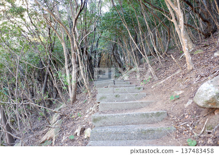 前往高知縣土佐清水市龍宮神社的路 前往高知縣土佐清水市龍宮神社的路 137483458