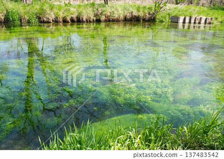 The clear Tade River in April 137483542