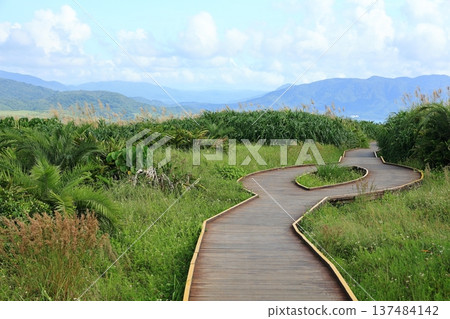 龍磐公園大草原海岸台灣墾丁 137484142