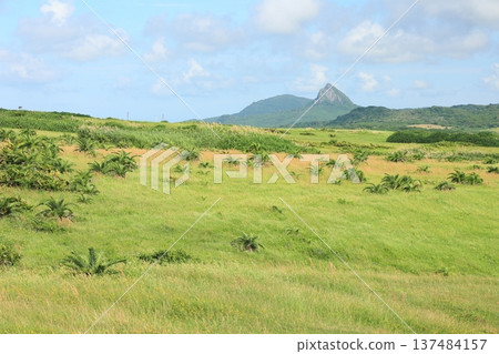 龍磐公園大草原大尖石山台灣墾丁 137484157