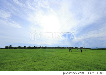墾丁埔頂大草原大尖石山 137484180
