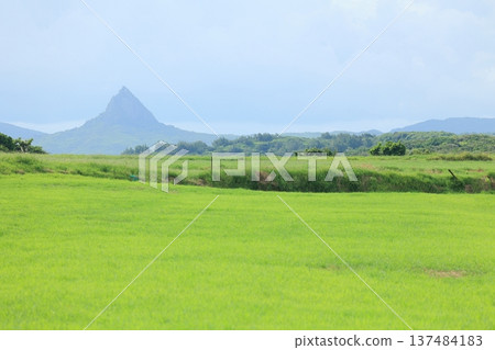 墾丁埔頂大草原大尖石山 墾丁埔頂大草原大尖石山 137484183