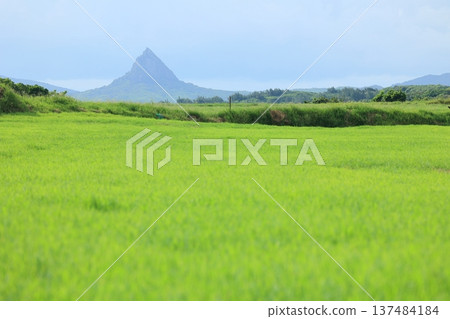 Kenting Puding Grassland and Dajianshi Mountain Kenting Puding Grassland and Dajianshi Mountain 137484184