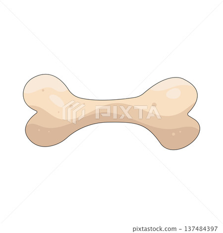 Illustration of human bone Illustration of human bone 137484397