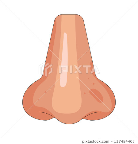 Illustration of human nose 137484405