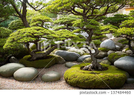 Zen garden and moss sculpture Zen garden and moss sculpture 137484460