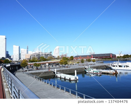 Minato Mirai as seen from Zou-no-hana Park Minato Mirai as seen from Zou-no-hana Park 137484476