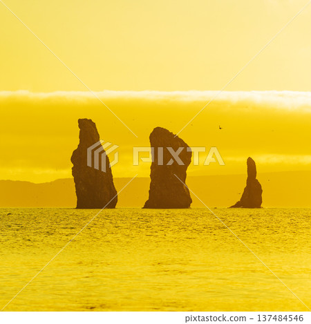 A serene, minimalist landscape of three large rock formations sea stacks silhouetted against a vibrant, monochromatic yellow sky and ocean. The golden light creates a peaceful, mystical mood 137484546