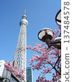 我想要天空樹 137484578