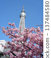 天空樹的看法 137484580