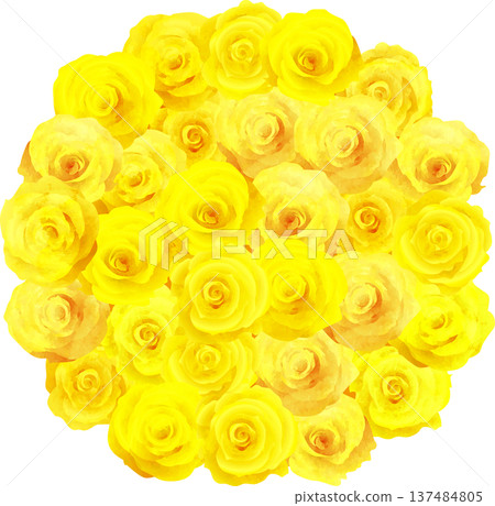 一束圓形的黃色玫瑰 137484805