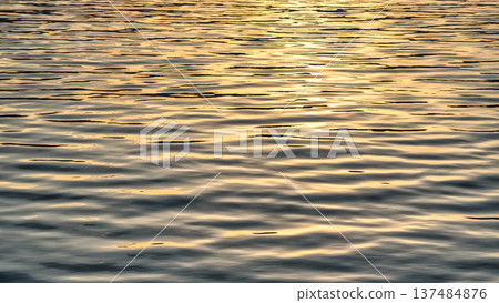 水面映照著晨曦 水面映照著晨曦 137484876