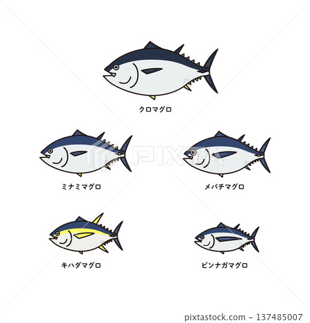 五種鮪魚的示意圖 137485007