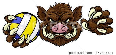 Boar Razorback Hog Volleyball Volley Ball Mascot Boar Razorback Hog Volleyball Volley Ball Mascot 137485584