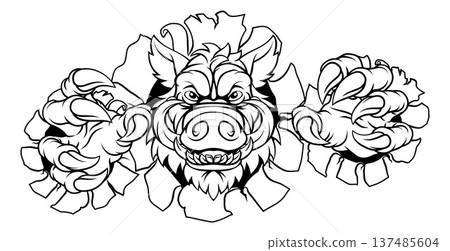 Boar Wild Hog Razorback Warthog Pig Sports Mascot 137485604