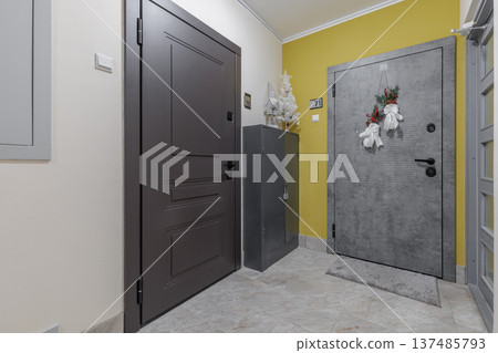 Contemporary Apartment Landing with Holiday Decor and Modern Security Doors 137485793