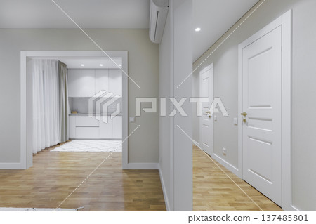 Bright Contemporary Apartment Hallway and Minimalist Kitchen View 137485801
