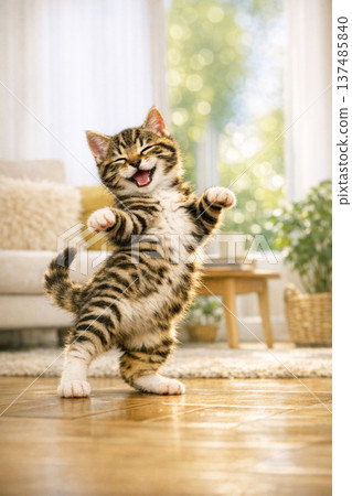 小貓跳舞 137485840