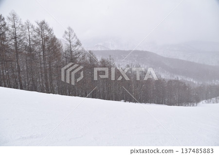 格蘭德科滑雪度假村 137485883