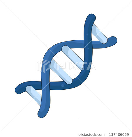 Illustration of DNA Illustration of DNA 137486069