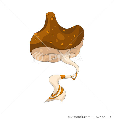 Illustration of mushroom  137486093