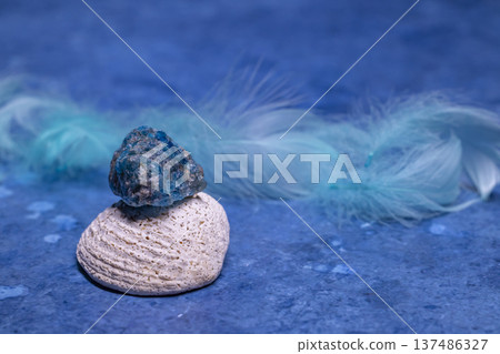 Apatite gemstone on shell with blue feathers Apatite gemstone on shell with blue feathers 137486327