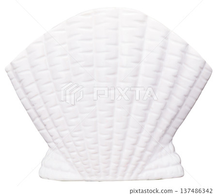 Textured white ceramic seashell (scallop) object cut out on a white background Textured white ceramic seashell (scallop) object cut out on a white background 137486342