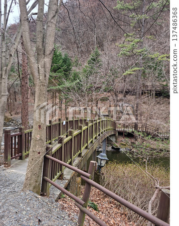 This is Maninsan Recreational Forest in Daejeon, Korea. 137486368