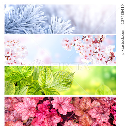 Four season of year. Set of horizontal nature banners. Each one features scene of nature, from the gentle snowfall of winter to the vibrant leaves of summer. Perfect for showcasing changing seasons 137486419