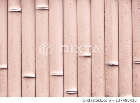 Bamboo wall texture background. Natural eco friendly bamboo wood detailed backdrop pattern. Horizontal or vertical banner with close up details of bamboo fence. Photo toned in pink color 137486436