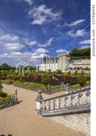 Chateau de Villandry with formal renaissance gardens in France 137486445