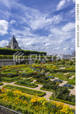 Villandry chateau gardens with formal geometric layout Villandry chateau gardens with formal geometric layout 137486446
