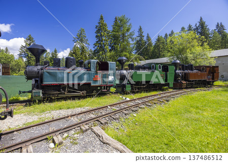 Old steam locomotives parked on tracks outside in the Liptov Village Museum 137486512
