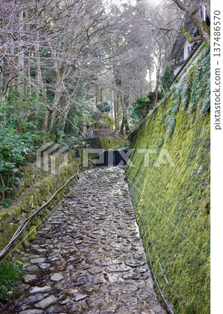 Mossy waterway 137486570