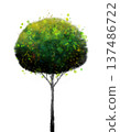 tree on watercolor green tree 137486722