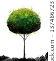 tree on watercolor painting 137486723