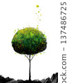 tree growing on pile of soil isolated on white background 137486725