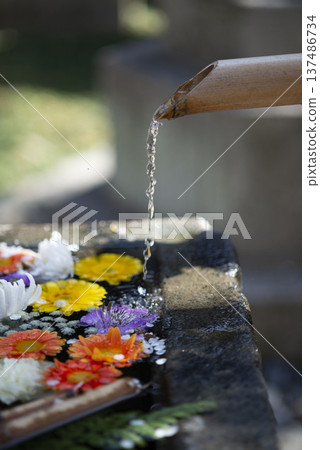 Fujisawa 26223 Joryuji Temple 1 Flower Water Basin 137486734