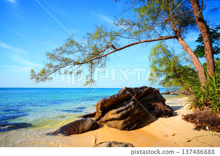 Waves at stone beach on bright blue sky. Ocean shoreline. Beach pebbles. Trees on sea beach  137486888
