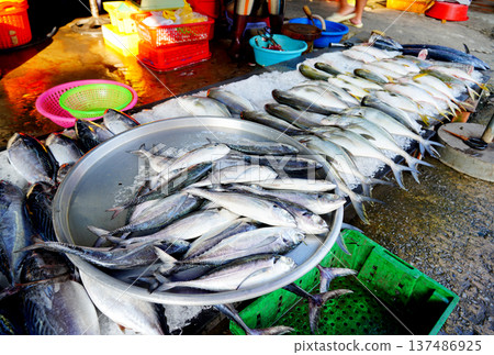 Fish sale at local market. Fresh seafood in ice on counter in grocer Fish sale at local market. Fresh seafood in ice on counter in grocer 137486925