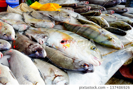 Fish sale at local market. Fresh seafood in ice on counter in grocer 137486926