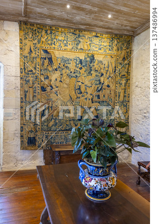 Villandry Chateau interior with historical tapestry and potted plant Villandry Chateau interior with historical tapestry and potted plant 137486994