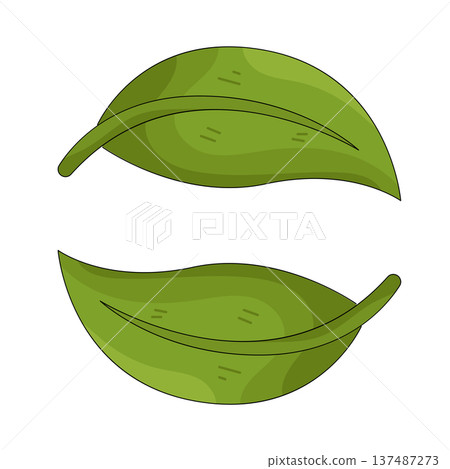illustration of green leaf illustration of green leaf 137487273