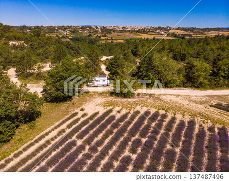 Caravan at lavender field, Provence in France. Aerial view Caravan at lavender field, Provence in France. Aerial view 137487496
