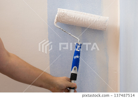 Person applying paint on wall 137487514