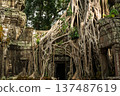 Famous view of giant tree roots growing over ancient stone doorway of Ta Prohm temple ruins in Siem Reap Cambodia 137487619